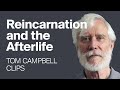 How Does Reincarnation and the Afterlife Really Work?