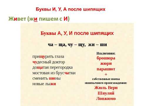 ВПР по русскому языку  в  5 классе. 1 задание (2 часть)