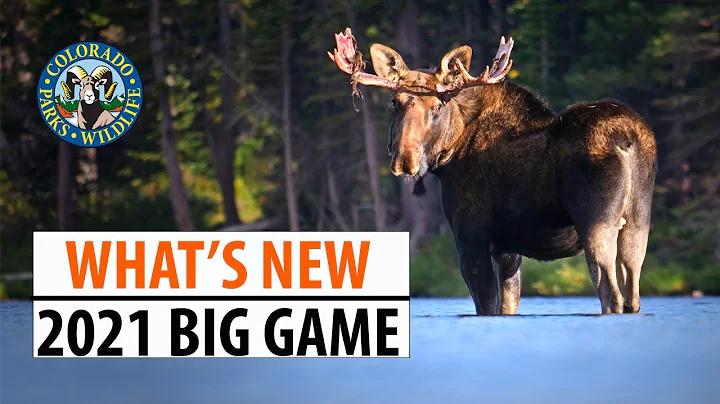 'What's New' 2021 Colorado Big Game