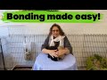 ESSENTIAL BONDING TIPS