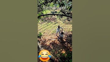 @challenge accepted boy #reels  #reelsvideo # viral #funny #comedy #trending  #youtube shot 14 Oct