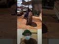 Perfect Timing Tire Throw Into Truck
