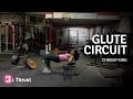 Ggs spotlight chrissy king  glute circuit