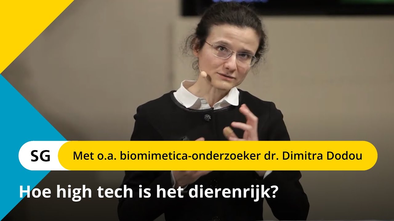 Biomimicry: wat kunnen ontwerpers leren van de natuur?