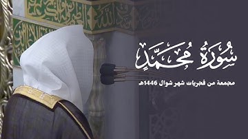 سورة محمد ﷺ كاملة للشيخ عبدالله القرافي مجمعة من فجريات شهر شوال 1446هـ