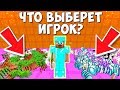 КРЕАТИВ или СУНДУК С ВЕЩАМИ? ЧТО ВЫБЕРЕТ ИГРОК в майнкрафте