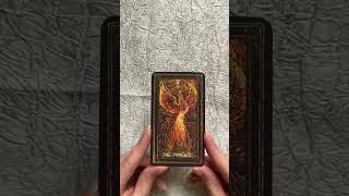 Карта-подсказка 🐦‍🔥 #таро #tarot #таровопрос #тароответ #тарорасклад #феникстаро  #тароонлайн
