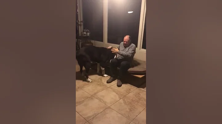 Kiya and Simin meeting Daddy