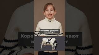 КАК ВИДЯТ КОШЕЧКИ И ДРУГИЕ ЖИВОТНЫЕ? 🐱🐮 ВИКА КИШИНСКАЯ ИЗ ПРОГОВОРИ @progovori@sosinaolga