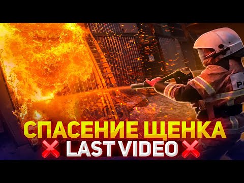 ПОЖАР В БЫТОВКЕ. СПАСЕНИЕ ЩЕНКА. ПОСЛЕДНЕЕ ВИДЕО