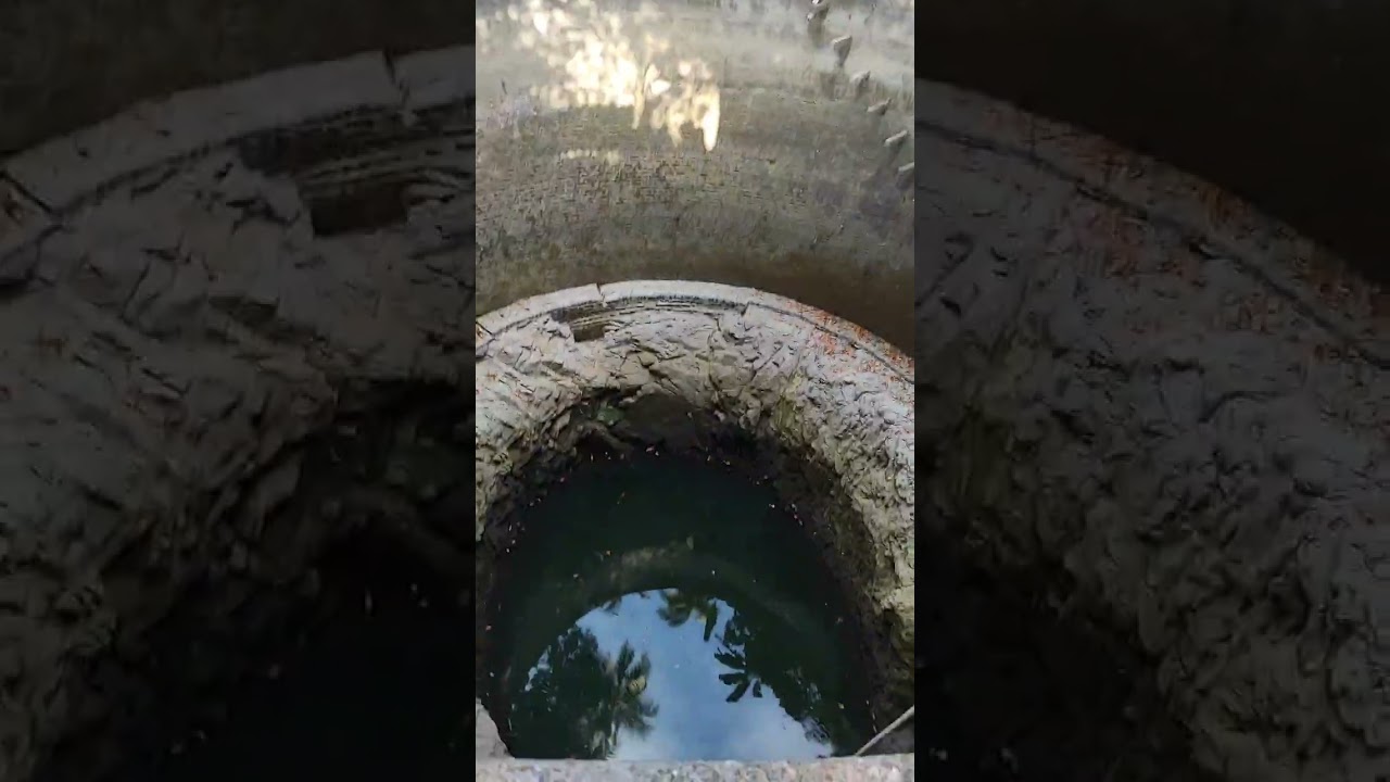 Dahanu Bordi Chiku Farm