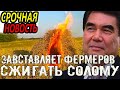 Срочно Туркменистан.Бердымухамедов очень зол.Туркменских фермеров заставляют сжигать солому