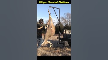 Loading Deer Yourself the Easy Way ! #shorts