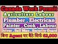 How to get Canada Work Permit From India.How to get Free LMIA &amp; Offer Latter  For Canada Work Permit