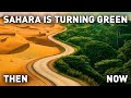 The Sahara Is Turning Green—Is History Repeating Itself?