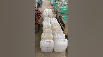 Cá trê vàng rặc giống. 0909770509 #cá_giống #caucathugian #trại_cá_giống_út_me #fishing #catrevang