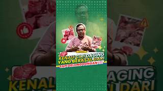 Download Lagu Kenali Ciri Daging yang Berasal dari Sapi Gelonggongan MP3