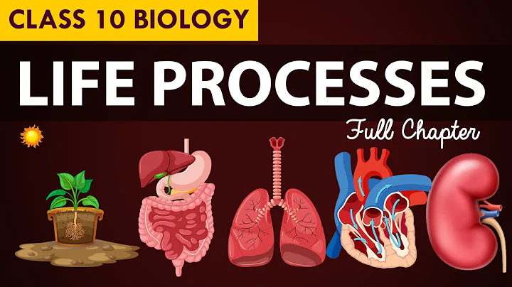 Life processes Full chapter | class 10 Animated video | 10th BIOLOGY | ncert #science | Chapter 7