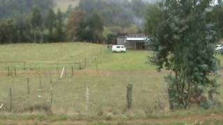 Trovolhue en Mayo 2010