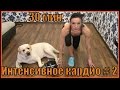 Интенсивное кардио # 2.