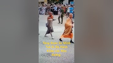 Tăng Đoàn Sư Minh Tuệ Đi Bộ Hành Khắp Các Nẻo Đường A Di Đà Phật l Sinh Tồn Tây Nguyên.