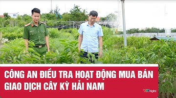 Công an điều tra hoạt động mua bán giao dịch cây kỳ hải nam | VTV24