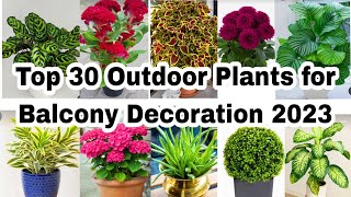 Best Outdoor Plants for Home | Low Maintenance Outdoor Plants by Magic Cubes 124,456 views 1 year ago 3 minutes, 43 seconds