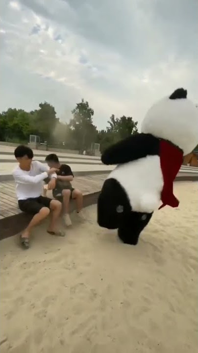 panda ngajak ribut 🐼  | Story WA #shorts