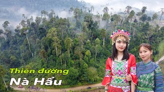 Nà Hẩu đẹp hoang sơ-thơ mộng và lưu giữ hàng trăm dược liệu quý dưới tán rừng nguyên  sinh