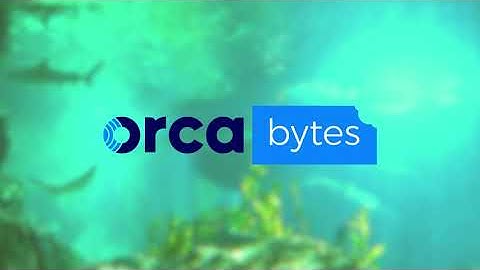 Orca Bytes: What Makes a True CNAPP? | Cloud Security Tools and Solutions