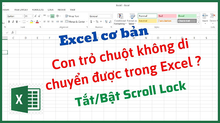 Phiím ở giữa khung chuột trên laptop là gì năm 2024