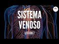 7. SISTEMA VENOSO (ESTRUCTURA Y FUNCIÓN DEL SISTEMA CARDIOVASCULAR)