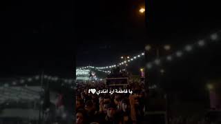 يا فاطمة أرد انادي محمد باقر الخاقاني