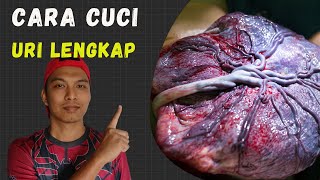 Cara Cuci Uri Anak Dengan Lengkap