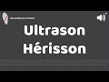 Ultrason contre pour hrisson