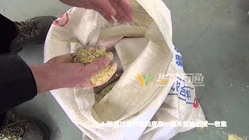 25A Soybean Peeling Machine Bean Peeler