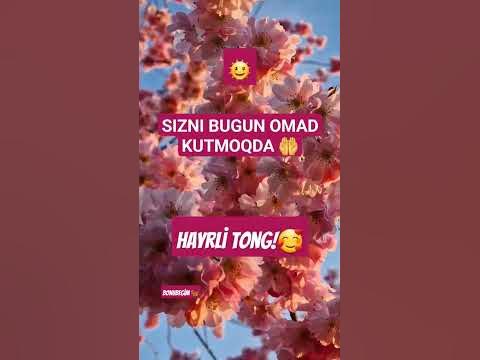 Tomskdagi sargish fohishalar