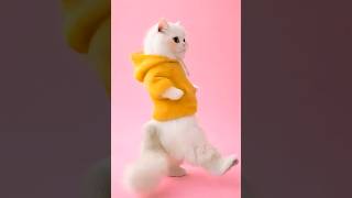 😂🐱 Cat Dancing to “Sememene (GuReggae)” 🔥 | Teddy Afro Vibes | #YeneAi