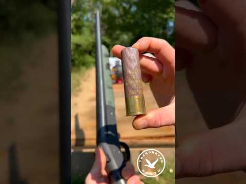 Патроны 10 калибра Federal США #охота #hunt #huntingrussia #hunting #охотник #охотавроссии #shotgun