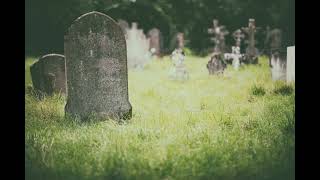 You Dig Your Own Grave - The Black 