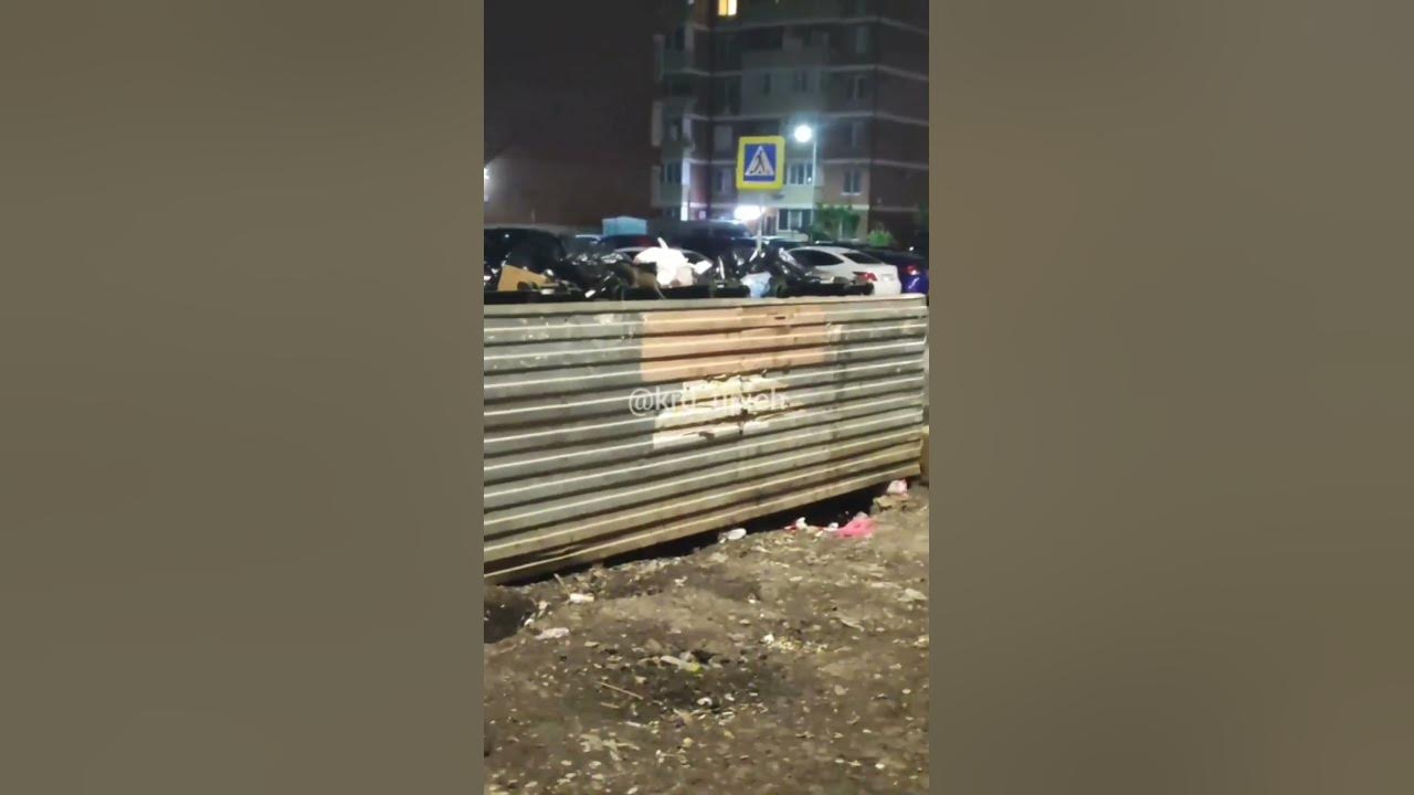 Огромные крысы атакуют Краснодар. Жесть #приколы #юмор #latestnews ...