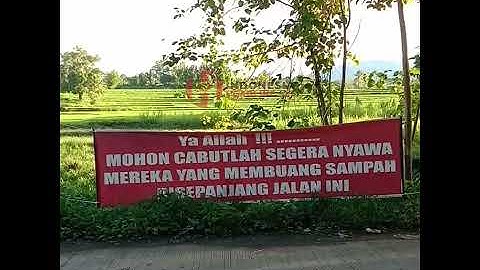 Viral! Peringatan Keras! Buang Sampah di Sepanjang Jalan Ini, Doanya Bikin Merinding #Shorts