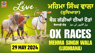 🔴[Live] Mehma Singh Wala | Ludhiana | ਬੈਲ ਗੱਡੀਆਂ ਦੀਆਂ ਦੌੜਾਂ | बैलगाड़ी दौड़ | Ox Races | 29 May 2024