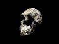 CARTA Presents The Origins of Today's Humans - John Hawks, How Homo Naledi Matters to Our Origins