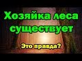 Хозяйка леса существует. Это правда?