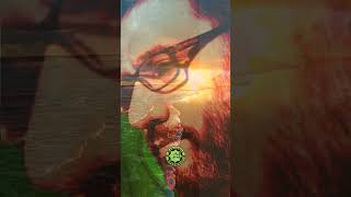 Hacı Şahin - Heç Bir Şəhid.