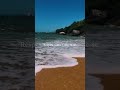 Relaxe em 09 segundos 🫶🏽 Inscreva-se canal Calma&amp;Acalma ✨#live #relax #paz #natureza #chilling