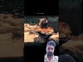 bholenath 🥰🙏🛕🔱 l #mahadave#mahakaal#bholenath#haridwar#short#video#viral#shirtfeed#2026#rishikash