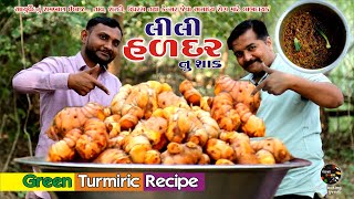 HEALTHY LILI HALDAR NU SHAK | લીલી હળદર નુ શાક | Green Turmeric Recipe | Village Cooking Gujarati