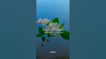 سورة العنكبوت كاملة القارئ عبد الرحمن مسعد // Surat Al-Ankabut Abdul Rahman Massad #islamichistory